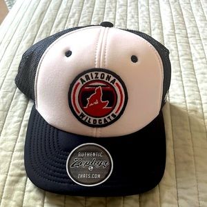Zephyr Arizona Wildcats Foam Hat